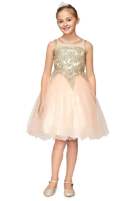 illusion-sleeve party dressesGold Lace Rhinestone Tulle Girl Party Dress by Cinderella Couture USA AS5017